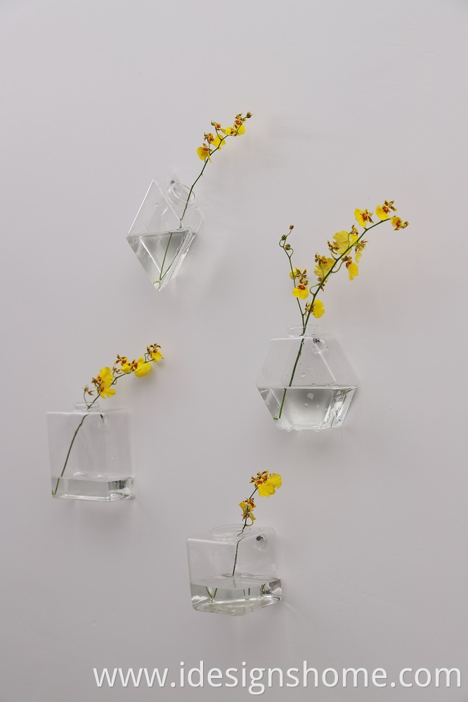 Hanging Glass Vase
